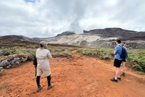 Santa Cruz and Isabela: 5-Day Sightseeing Tour with Pinzón, Tintoreras, and Sierra Negra