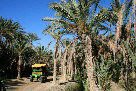 Excursión nocturna a los pueblos y oasis del Sáhara tunecino