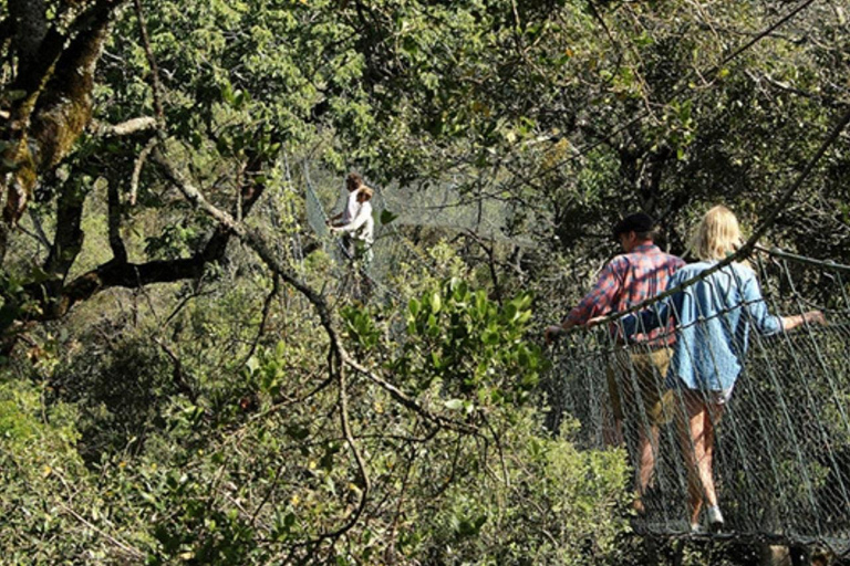 Nairobi: Caminhada pela Floresta Ngare Ndare e Canopy WalkNairobi: Caminhada pela Floresta Ngare Ndare e Passeio pela Copas das Árvores