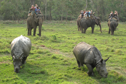 Katmandu: 3-dagars safariresa i Chitwan nationalpark