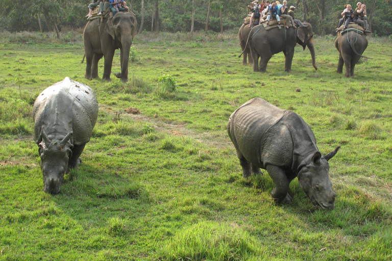 Katmandu: 3-dagars safariresa i Chitwan nationalpark