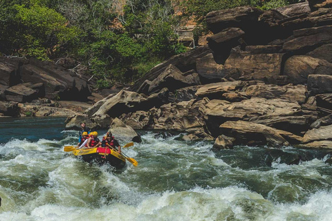 Rio: White Water Rafting Adventure tour in Rio de Janeiro