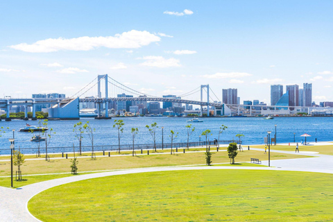 Excursão de 1 dia a Tóquio: Skytree, Santuário Meiji com motorista inglês