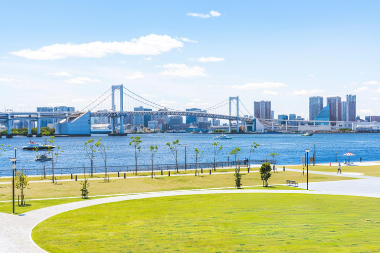 Tokio Ganztagestour Skytree Meiji-Schrein mit englischem Fahrer