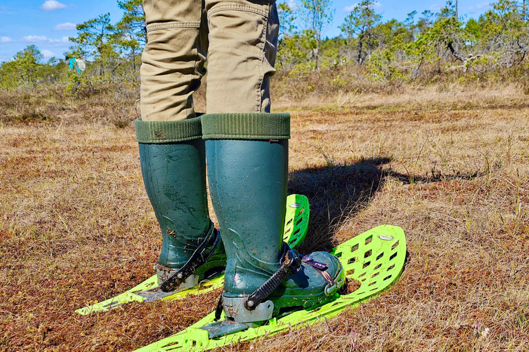 Ķemeri Bogs Adventure: Explore Wetlands In Bog Shoes