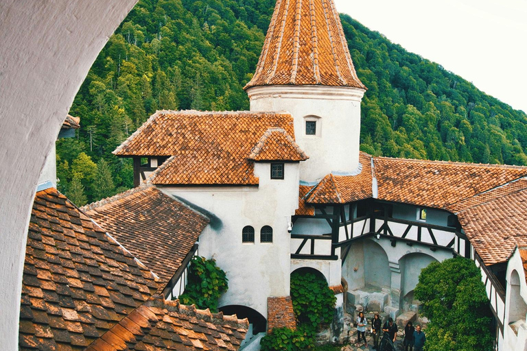 3 Castles 1 Day Tour from Bucharest: Peles, Bran & Wednesday Audio Guide 24 Languages