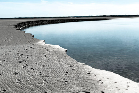 Bay of Mont Saint-Michel : Quicksands And Discovery Quicksands And Discovery + See the Tide Coming Up