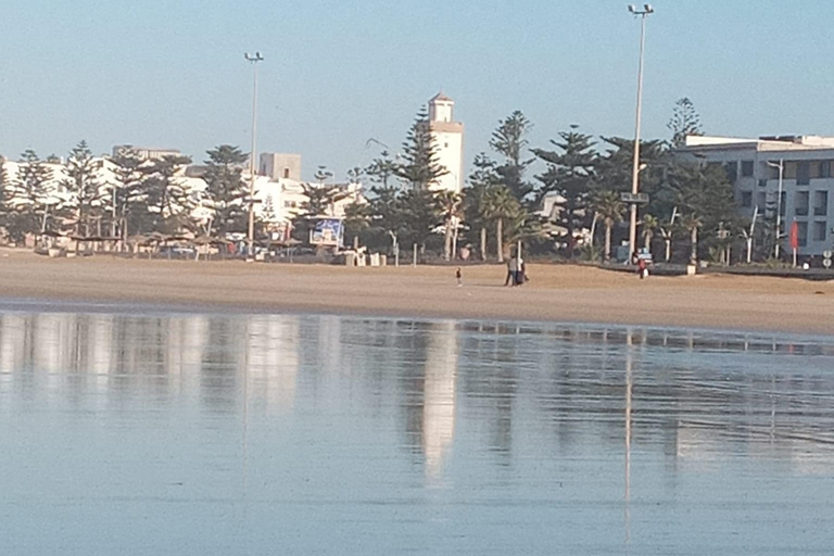 Passeio de um dia pela cidade de Essaouira saindo de Marrakech