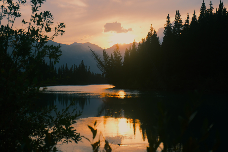 Banff: Grizzly Bear & Nature Walk & Hidden Gem Sunset Tour