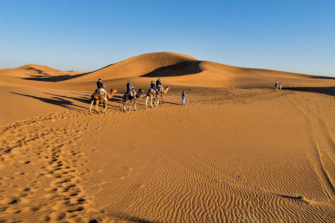 4-Day Private Desert Trip to Zagora & Merzouga From Agadir