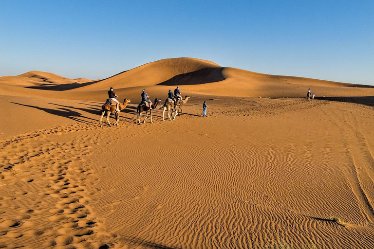 4-Day Private Desert Trip to Zagora & Merzouga From Agadir