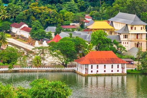 Vanuit Colombo - Dagtrip naar Kandy/ Pinnwala/ Koninklijke tuinen