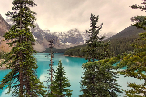 Banff National Park: Full-Day Adventure