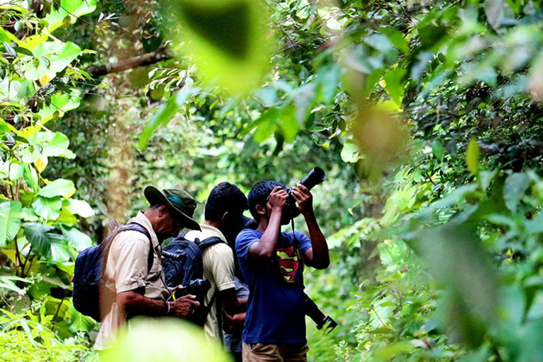 Sinharaja Rain Forest UNESCO Walk and Bird Watching Day Tour Sinharaja Endemics: Rain Forest UNESCO Bird Watching Day