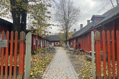 Turku privado de carro a partir de Helsínquia: Catedral e Castelo