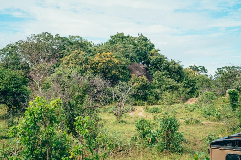 Kandy Amanecer en la Roca de Pidurangala y Safari por Minneriya