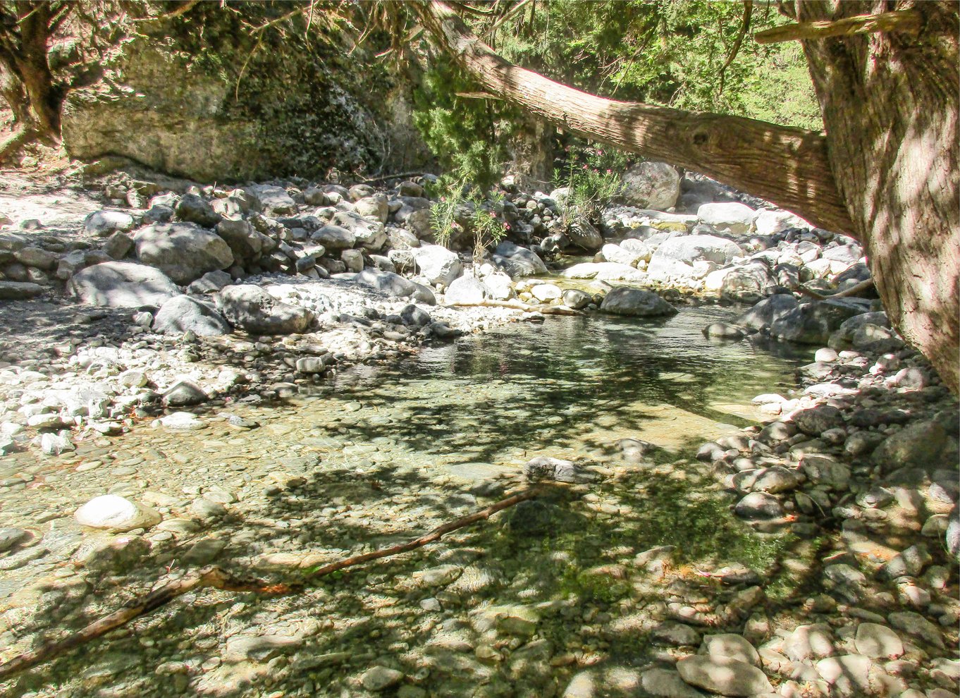 Fra Chania: Heldagsudflugt i Samaria-kløften med guide