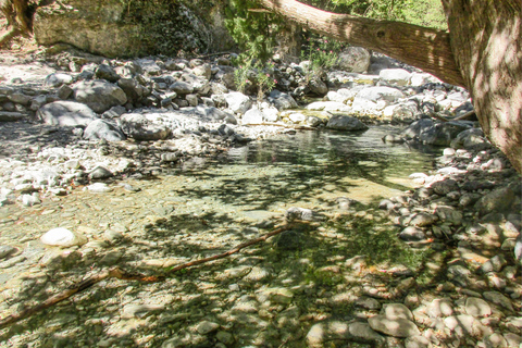 De Chania: Caminhada de 1 Dia à Garganta de SamariáDe Kalyves ou Almyrida