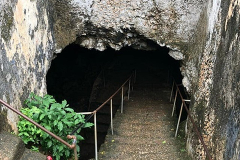Zanzibar : excursion de plongée avec tuba dans le lagon bleu