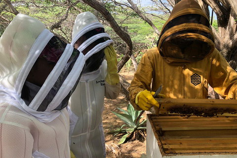 Aruba: Cunucu Bee Adventure Tour with Honey Tasting