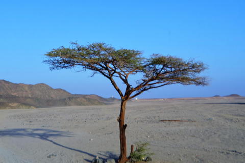 Jeep-Safari-Abenteuer mit Kamelritt, Abendessen und ShowAbholung vom Hotel in Hurghada