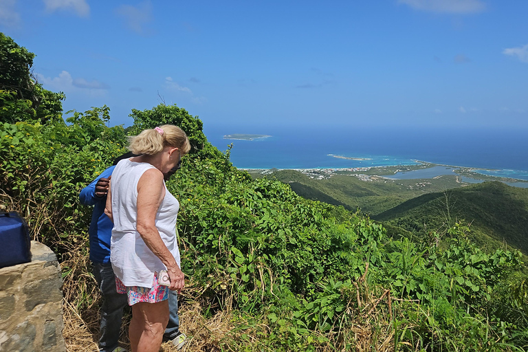 Sint Maarten: Tour guidato in ATV e Buggy con vista panoramicaTour Boogie