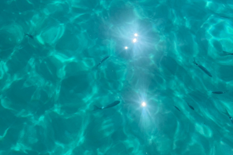 Cagliari: Boat Tour snorkeling della Sella con con aperitivo