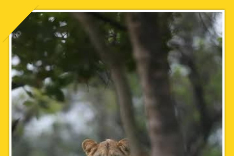 Addis Abeba: 8-tägige Tour zu den Bale Mountains und dem Maze Park mit Wildtieren