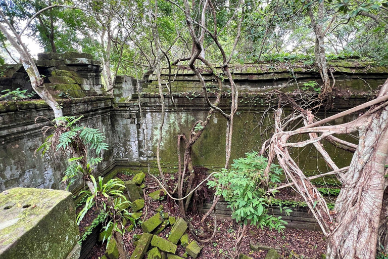 Adventure to the distant temples, Beng Mealea & Rolous Group