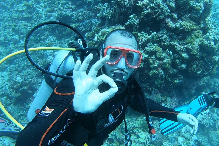 SSI Scuba Diver Course | Start Your Diving Journey