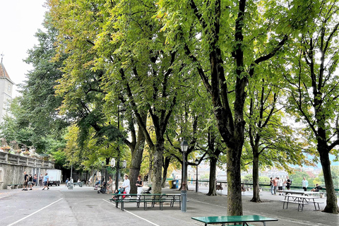 Pełna wycieczka po Genewie. ODBIÓR Z HOTELU, ONZ i Stare Miasto