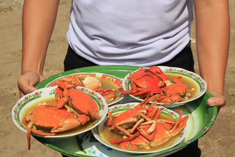 Bagek Kembar: Mangrove & Stingless Beekeeping Experience