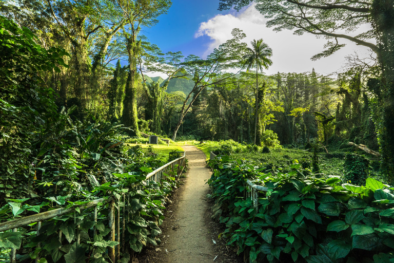 Sentier de randonnée jusqu'à la cascade et promenade dans la nature