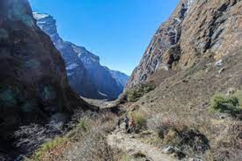 From Pokhara: 15 day Poon hill,ABC and Mardi Himal trek 15 days Poon hill,ABC and Mardi trek from pokhara