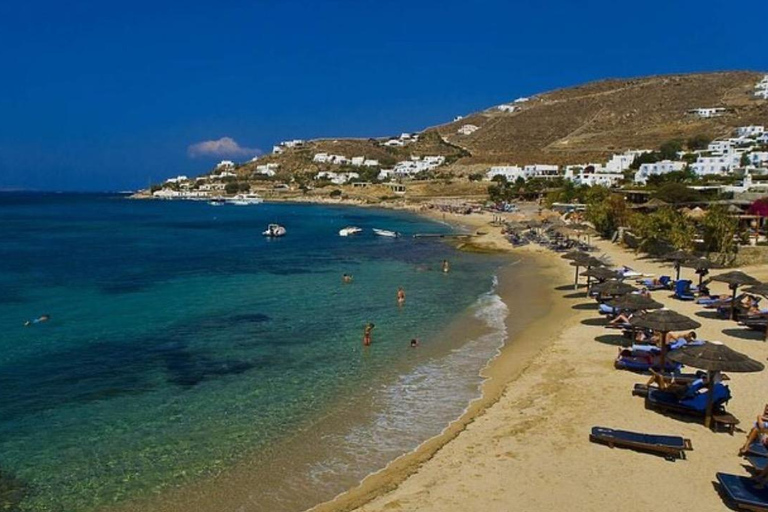 Mykonos en privé : les points forts : La ville, les plages du sud et le village