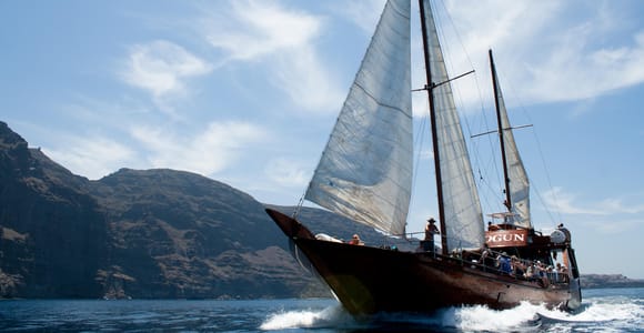 Tenerife: Los Gigantes Whale Watching Cruise with Lunch