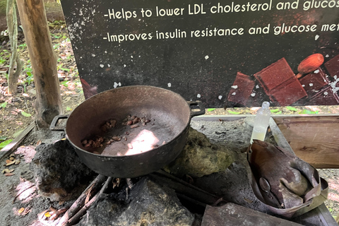 蓬塔卡纳：咖啡种植园、巧克力和甘蔗……