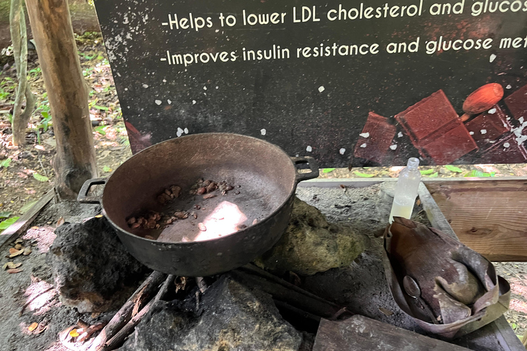 蓬塔卡纳：咖啡种植园、巧克力和甘蔗……