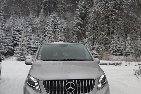 Bucharest: Carpathian Mountains Snowmobile Tour Sinaia