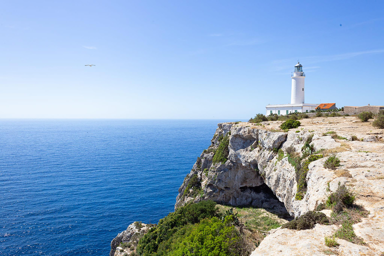 Ibiza: All-inclusive Formentera Full-Day Boat Trip with Beds