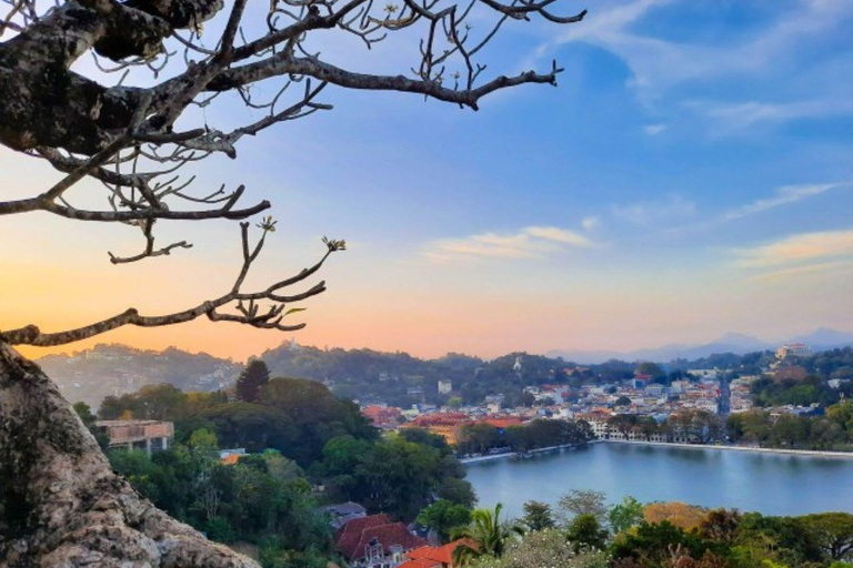 The Best of Kandy by Tuk-Tuk