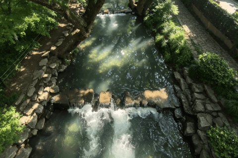 Hangzhou Nine Creeks · Dragon Well Half-Day Hiking Tour