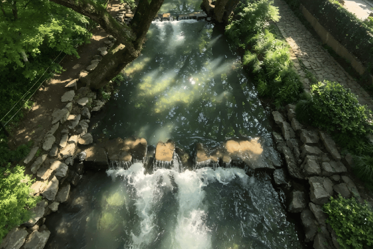 Hangzhou Nine Creeks · Dragon Well Half-Day Hiking Tour