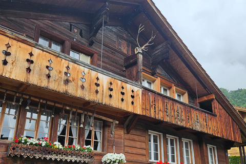 Zürich:Interlaken Grindelwald,Lauterbrunnen (Tillval Privat)