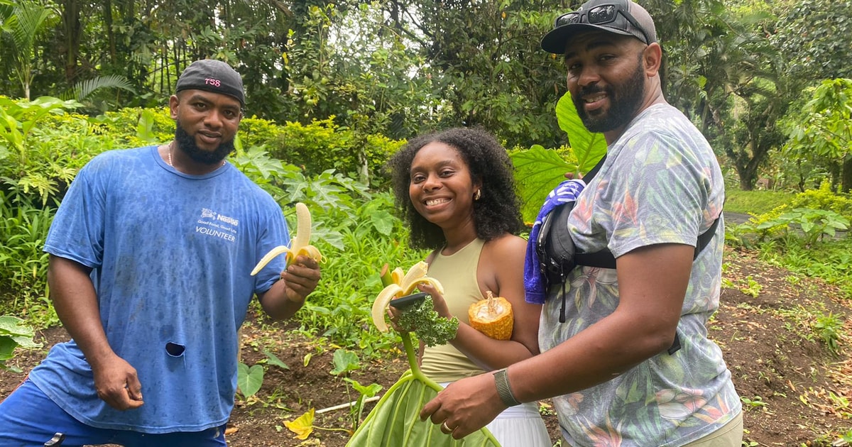 Choiseul traditional claypot making &food tour GetYourGuide