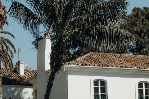 Málaga: Ronda, Marbella, and Puerto Banús Day Trip