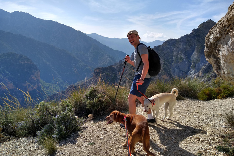 ⭐ Excursión al atardecer y cumbre de Sierra Nevada con cachorro ⭐⭐ Excursión al atardecer y cumbre de Sierra Nevada Excursión privada con cachorro ⭐