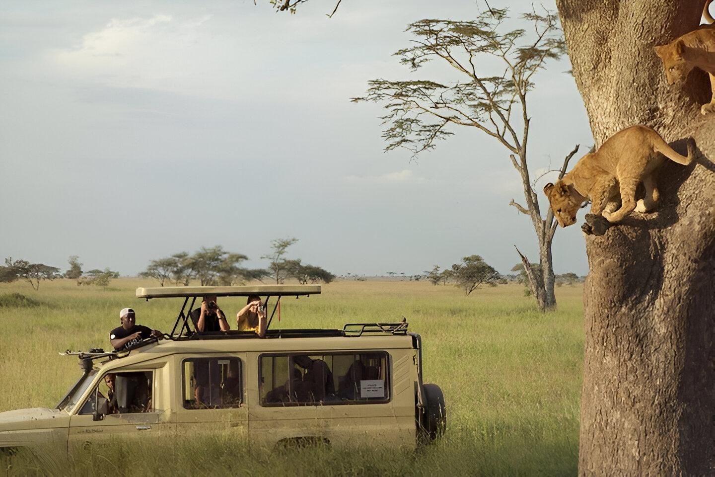 6 Tage Entdeckungssafari in Tansania