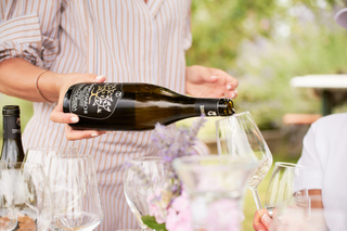Marche: Tour and tasting of organic wines at Cantina Terracruda