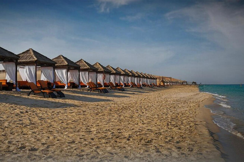 Doha : safari d&#039;une journée dans le désert avec dîner barbecue et activités au camp